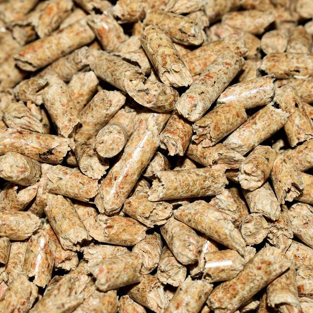 pellets 